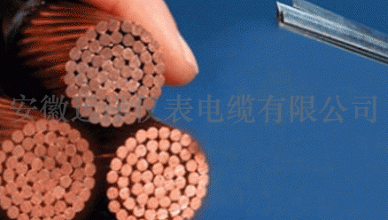 ����(gu��)�����b���������ĳ���(d��o)�߉���|