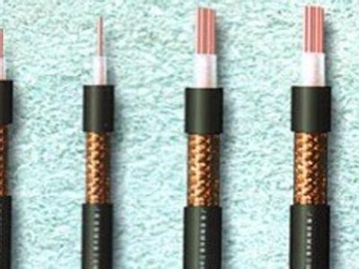 ��|��(b��o)�r(ji��)�������L(f��ng)늈��(xi��ng)Ŀ���P(gu��n)��Ҫ