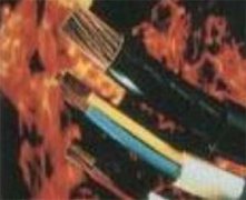  ��ȼ�ͻ���| 